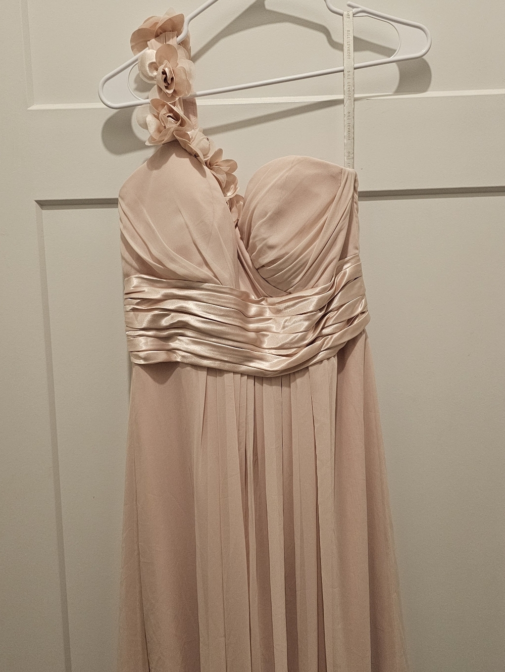 Bill Levkoff Womans Chiffon Gown Champagne Color Size 10